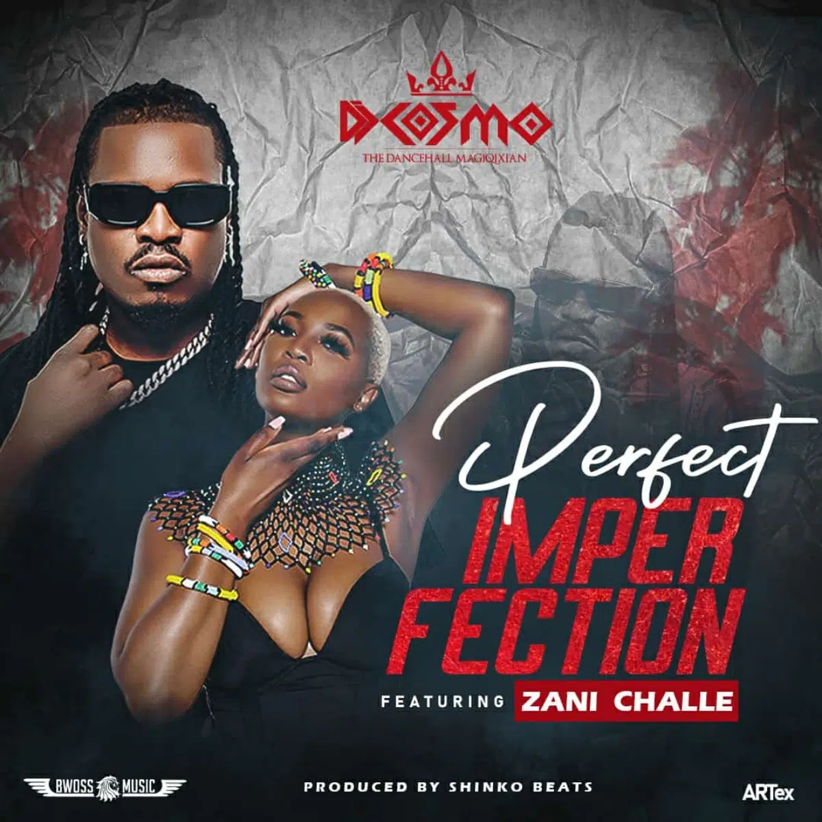 DOWNLOAD: DJ Cosmo Feat Zani Challe – “Perfect Imperfection” Mp3