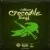 DOWNLOAD: Skillibeng – “Crocodile Teeth” Mp3