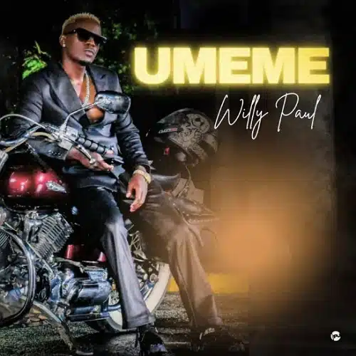 DOWNLOAD: Willy Paul – “Umeme” Mp3