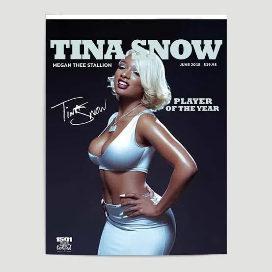 DOWNLOAD ALBUM: MEGAN THEE STALLION – “TINA SNOW” | Full Album