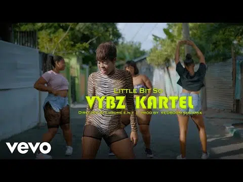 DOWNLOAD VIDEO: Vybz Kartel – “Likkle Bit So” Mp4