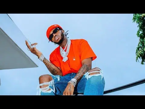 DOWNLOAD VIDEO: Diamond Platnumz Ft Rayvanny – “ToTo” Mp4