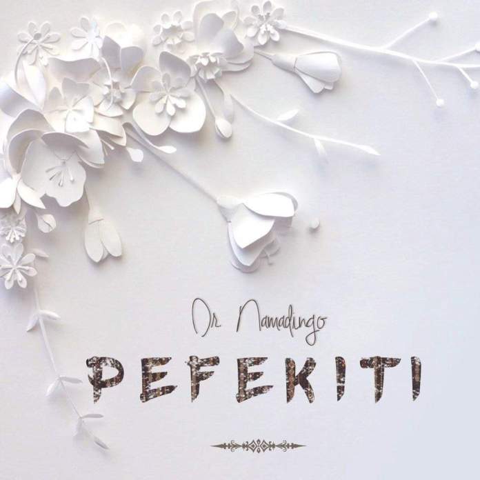 DOWNLOAD: Namadingo – “Pefekiti” Video + Audio Mp3