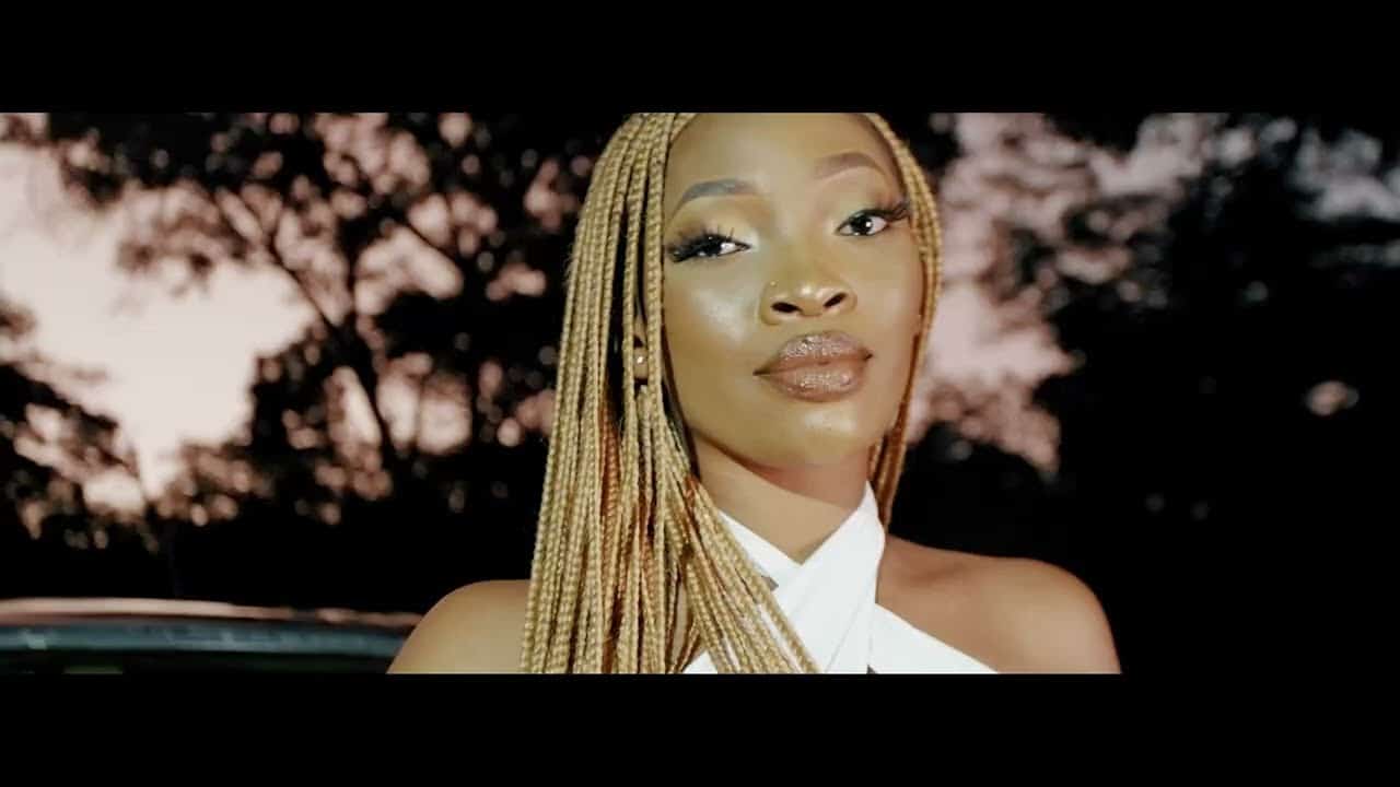 DOWNLOAD VIDEO: Zar The Supreme Ft. Daev Zambia – “One Night Only” Mp4