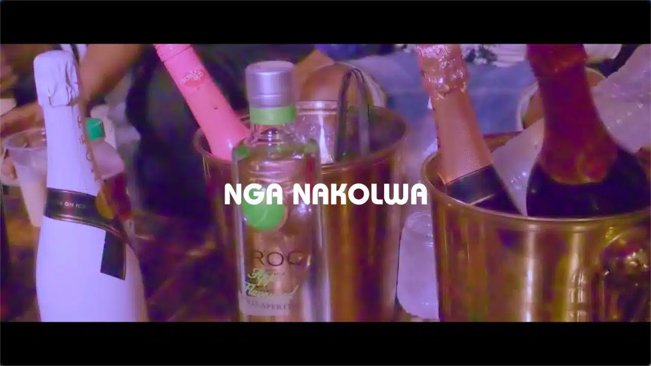 DOWNLOAD VIDEO: Y Celeb – “Nganakolwa” Mp4