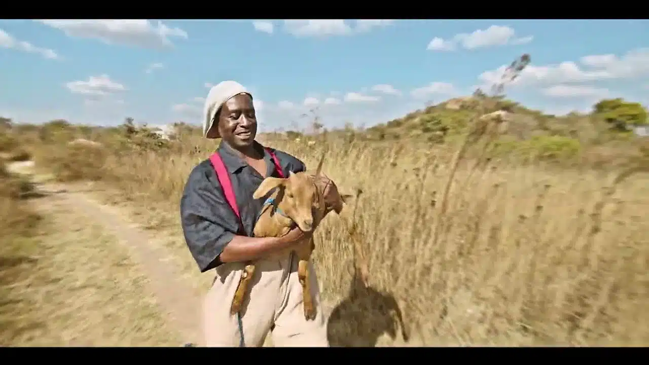 DOWNLOAD VIDEO: Baba Harare – “Tsamba Yerufu” Mp4