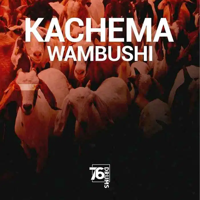 DOWNLOAD: 76 Drums – “КАСНЕМА WAMBUSHI” Mp3