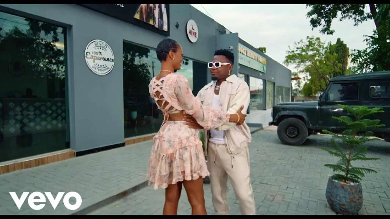 DOWNLOAD VIDEO: Aslay – “Shuu!” Mp4