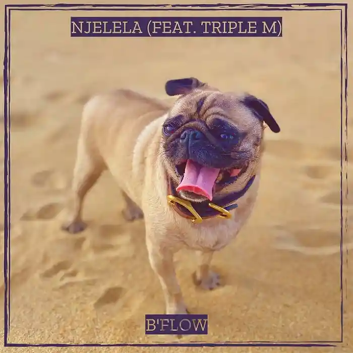 DOWNLOAD: B Flow Ft Triple M – “Njelela” Mp3