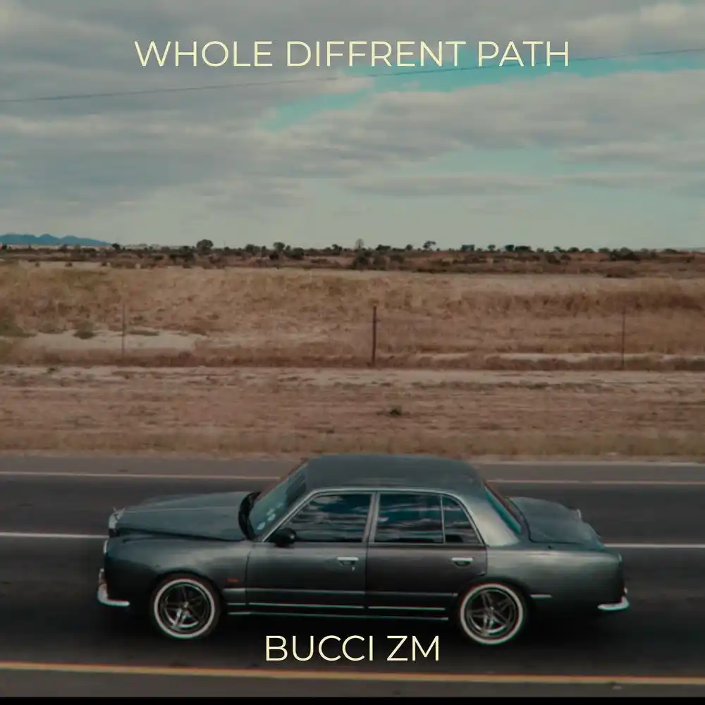 DOWNLOAD: Bucci Zm – “Whole Diffrent Path” Mp3