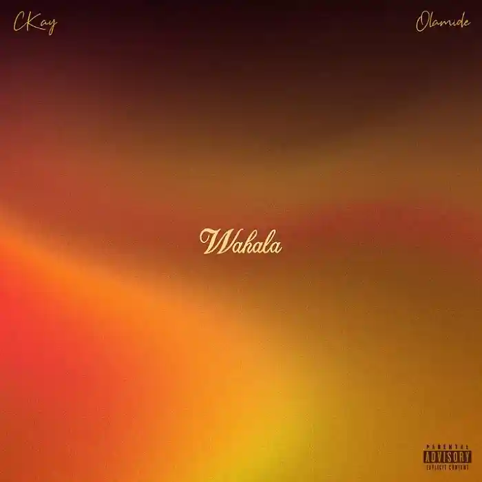 DOWNLOAD: CKay Ft Olamide – “Wahala” Mp3