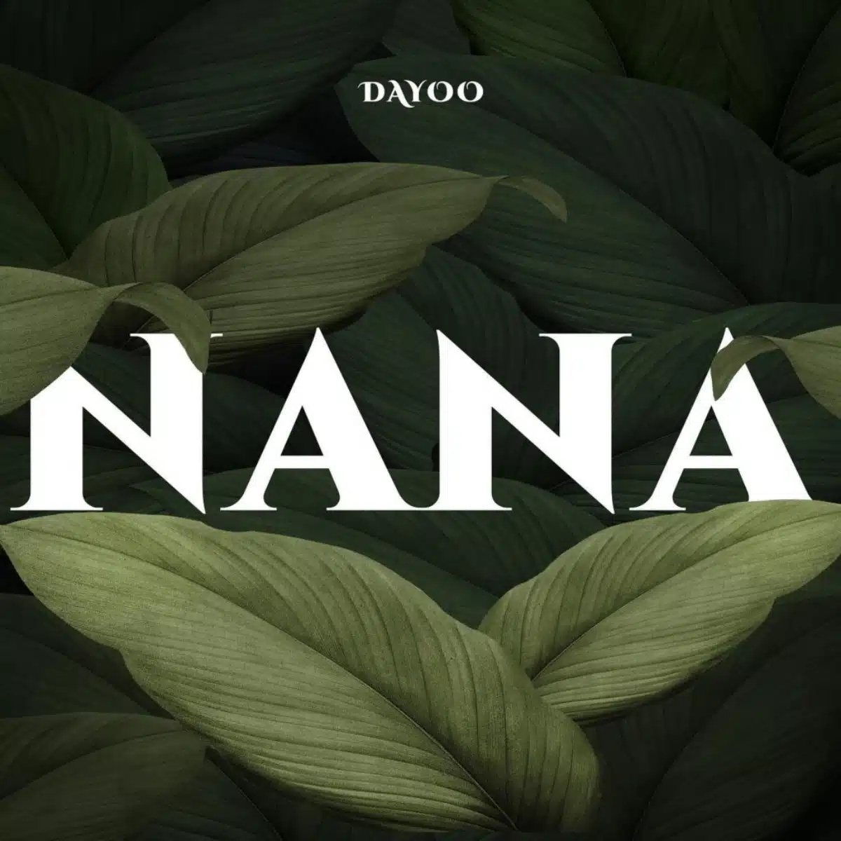 DOWNLOAD: Dayoo – “Nana” Mp3