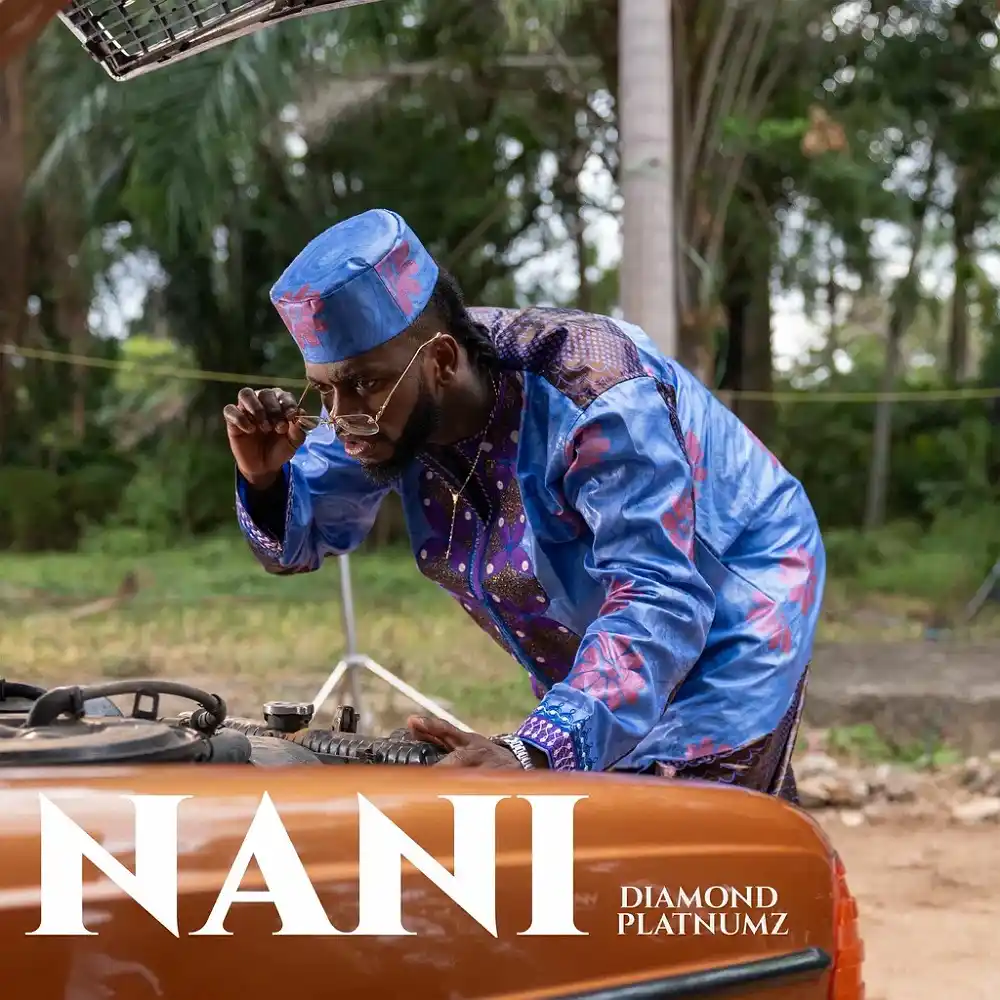 DOWNLOAD: Diamond Platnumz – “Nani” Mp3