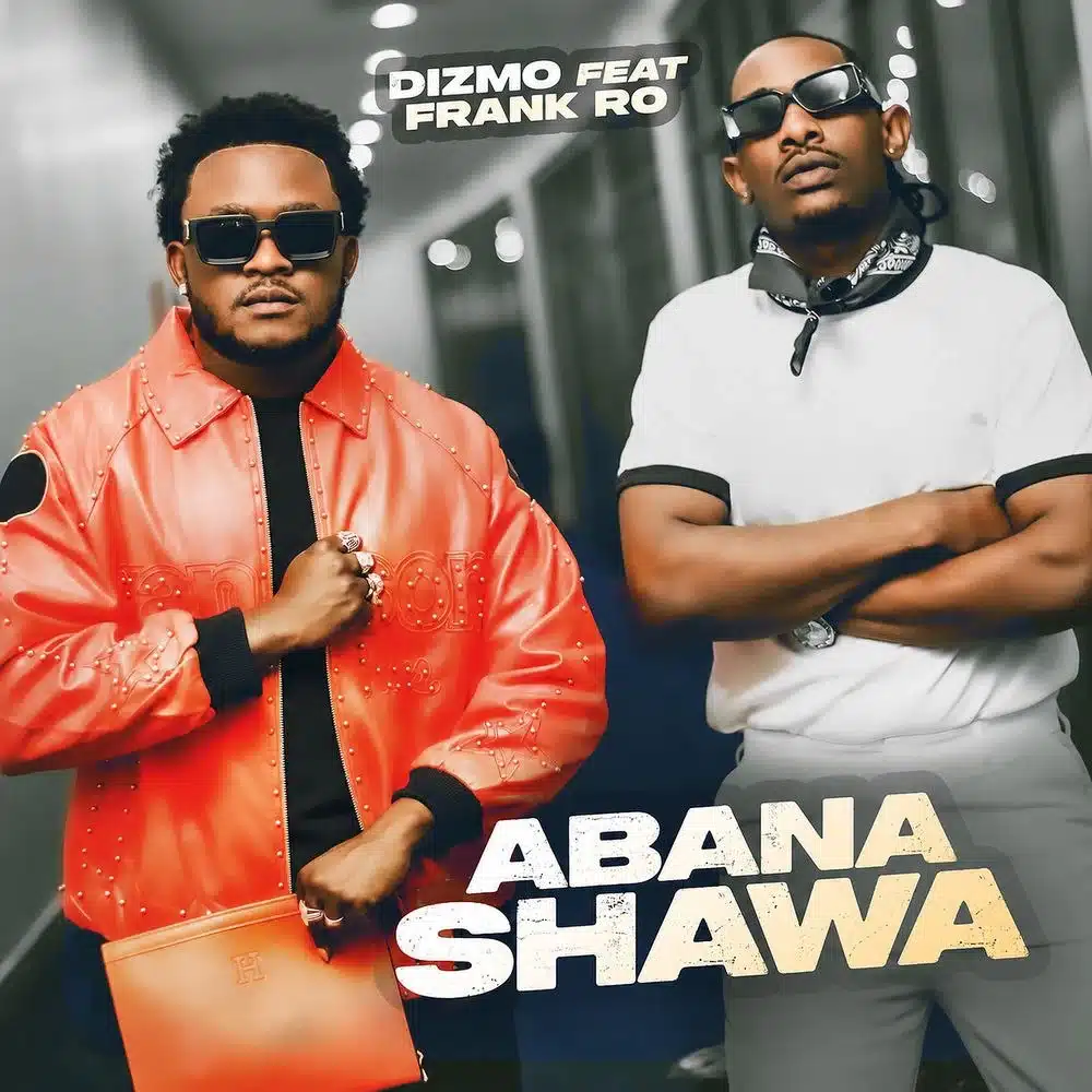DOWNLOAD: Dizmo Ft Frank Ro – “Abana Shawa” Mp3