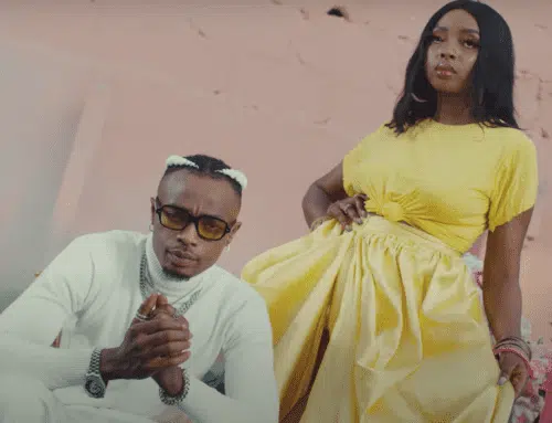 DOWNLOAD VIDEO: Flimzy – “Brenda” Mp4