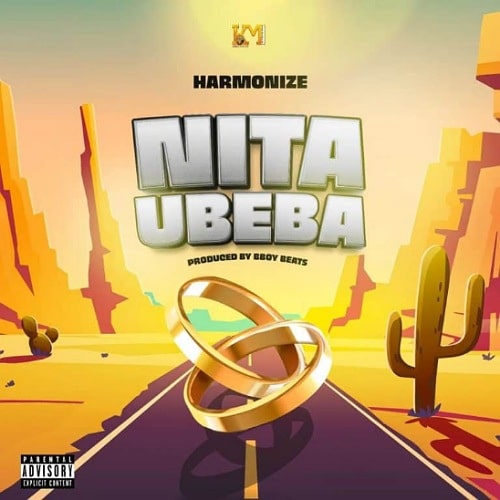 DOWNLOAD: Harmonize – “Nitaubeba” Audio Mp3