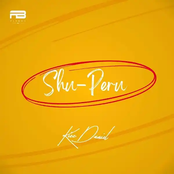 DOWNLOAD: Kizz Daniel – “Shu Peru” Mp3