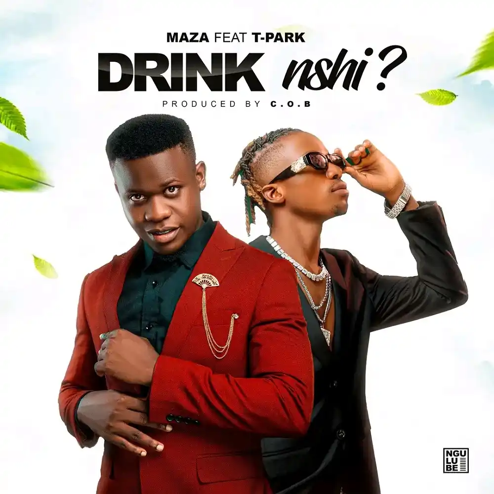 DOWNLOAD: Maza Ft T Park – “Drink Nshi” Mp3
