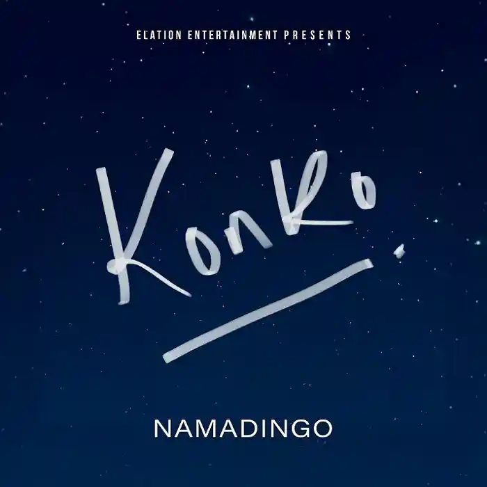 DOWNLOAD: Namadingo – “Konko” Mp3