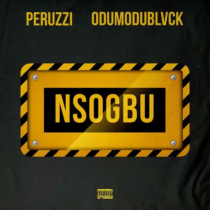 DOWNLOAD: Peruzzi Ft Odumodublvck – “Nsogbu” Mp3