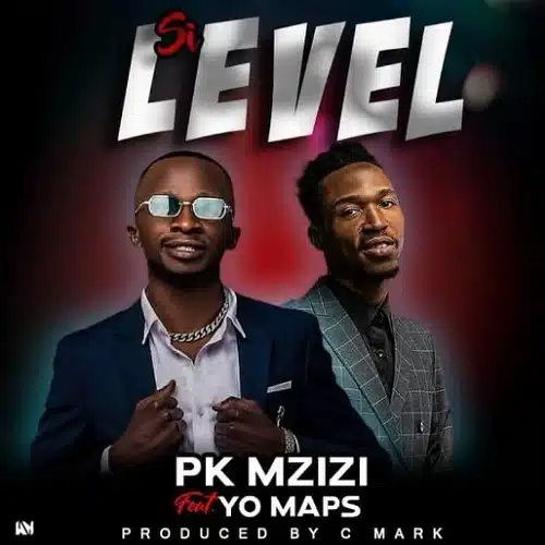 DOWNLOAD: Pk Mzizi Ft Yo Maps – “Si Level” Mp3
