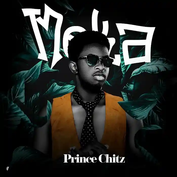 DOWNLOAD: Prince chitz – “Meka” Mp3