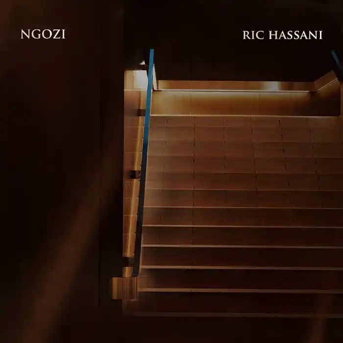 DOWNLOAD: Ric Hassani – “Ngozi” Mp3
