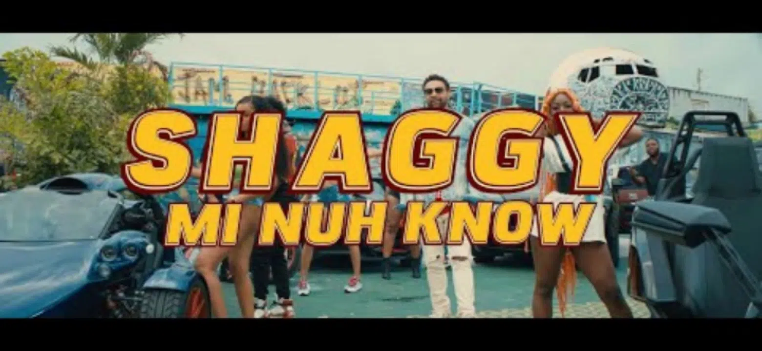 DOWNLOAD VIDEO: Shaggy – “MI Nuh Know” Mp4