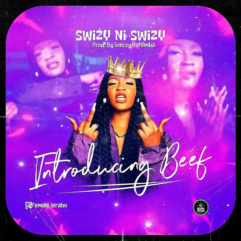 DOWNLOAD: Swizy Ni Swizy – “Introducing Beef” Mp3