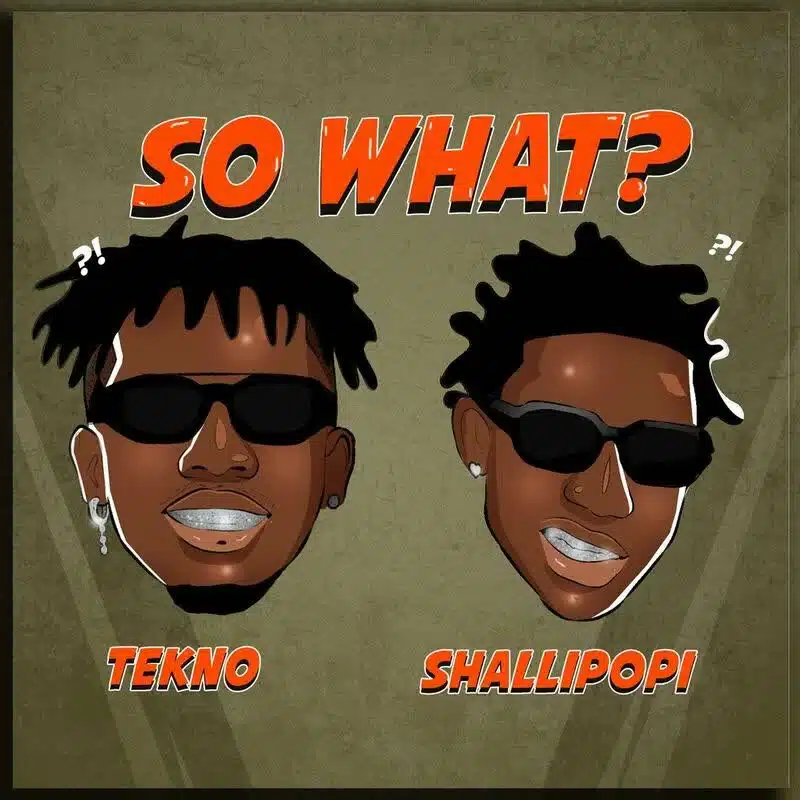 DOWNLOAD: Tekno Ft Shallipopi – “So What?” Mp3