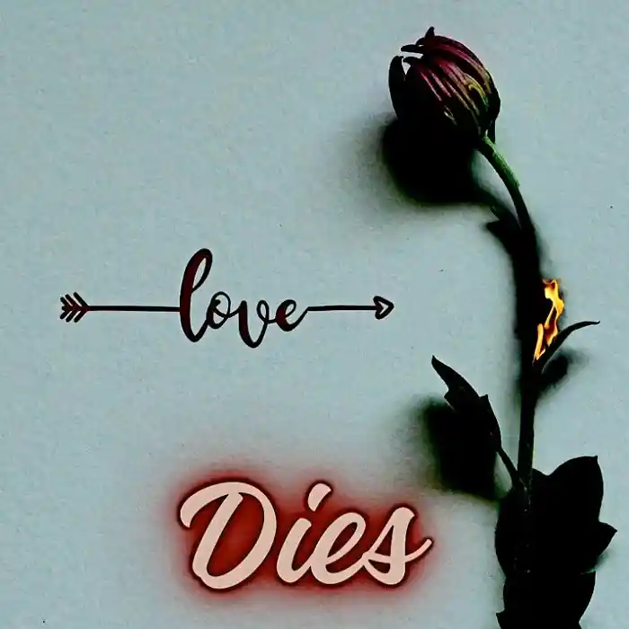 DOWNLOAD: Toxic Fuvu – “Love Dies” Mp3