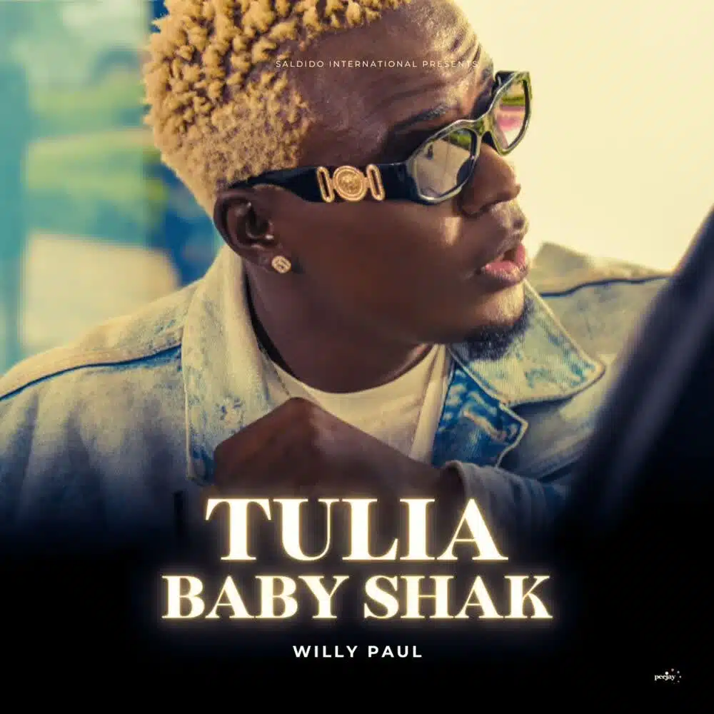 DOWNLOAD: Willy Paul – “Tulia Baby Shak” Video & Audio Mp3