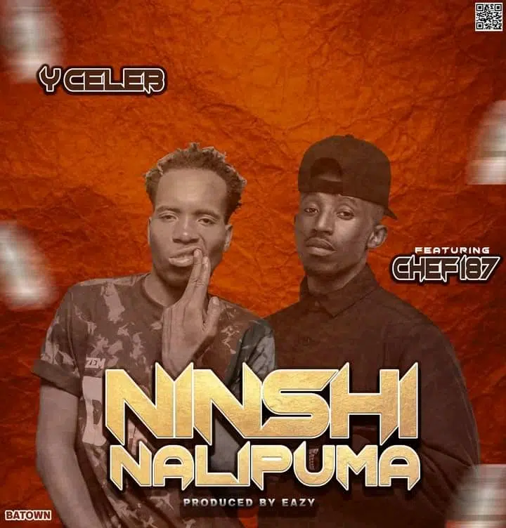 DOWNLOAD: Y Celeb Feat Chef 187 – “Ninshi Nalipuma” Mp3