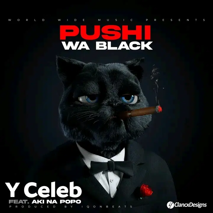 DOWNLOAD: Y Celeb Ft Aki Na PoPo – “Pushi Wa Black” Mp3