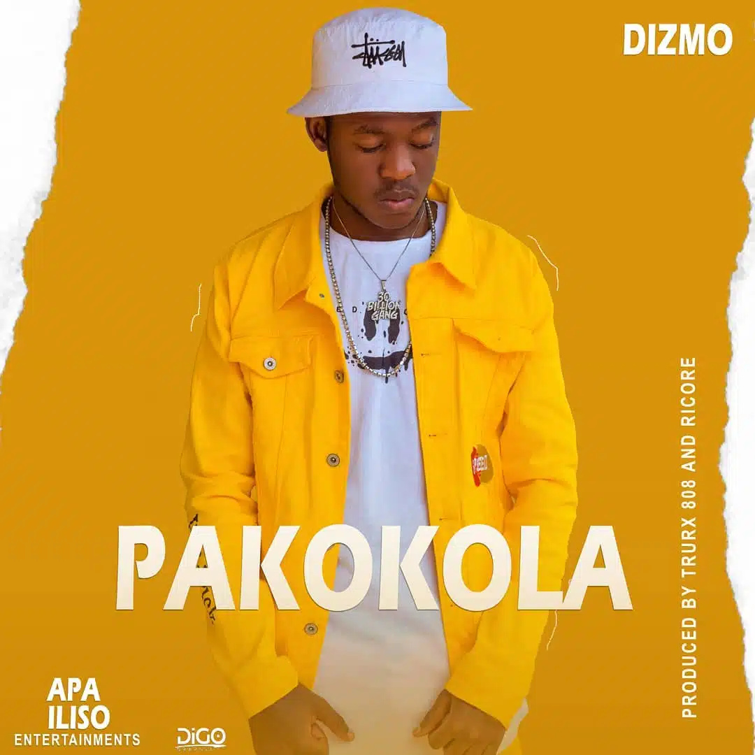 DOWNLOAD: Dizmo – “Pakokola” Mp3