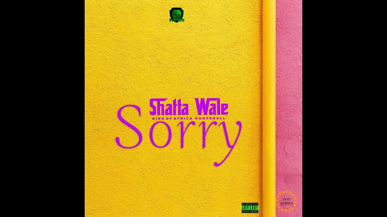 DOWNLOAD: Shatta Wale – “Sorry” Mp3
