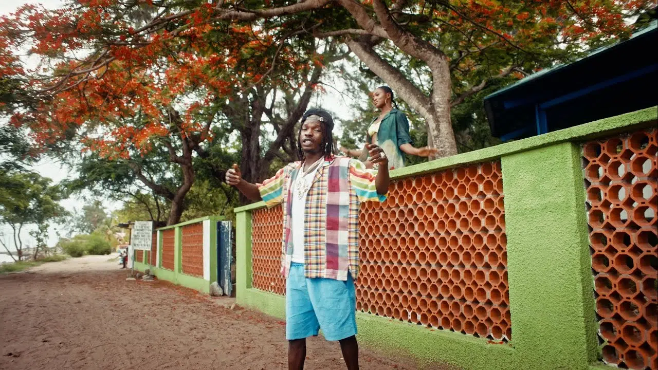 DOWNLOAD VIDEO: Naira Marley – “Montego Bay” Mp4