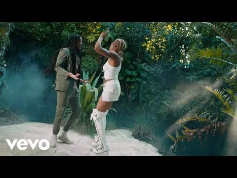 DOWNLOAD VIDEO: Skip Marley, Ayra Starr – “Jane” Mp4