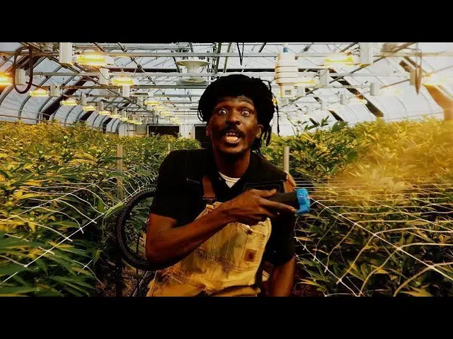 DOWNLOAD VIDEO: Anthony B – “Weed Baby” Mp4