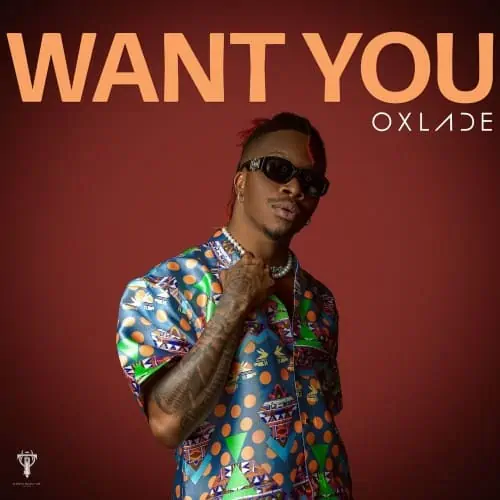 DOWNLOAD VIDEO: Oxlade – “Want You” Video + Mp3