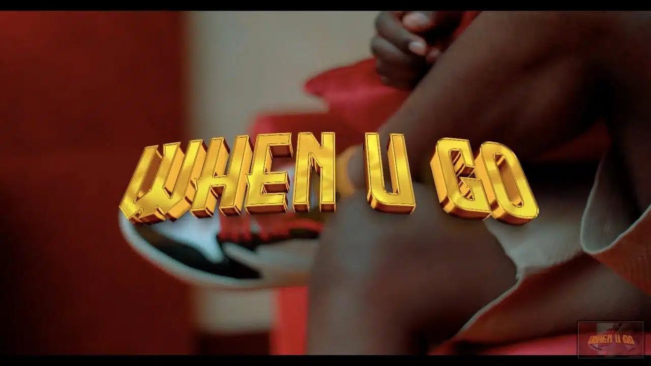 DOWNLOAD VIDEO: Jemax Ft RISKY – “When You Go” Mp4