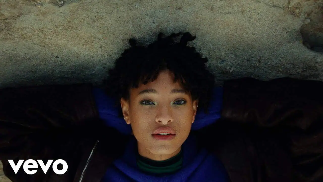 DOWNLOAD VIDEO: WILLOW – “Symptom of life” Mp4